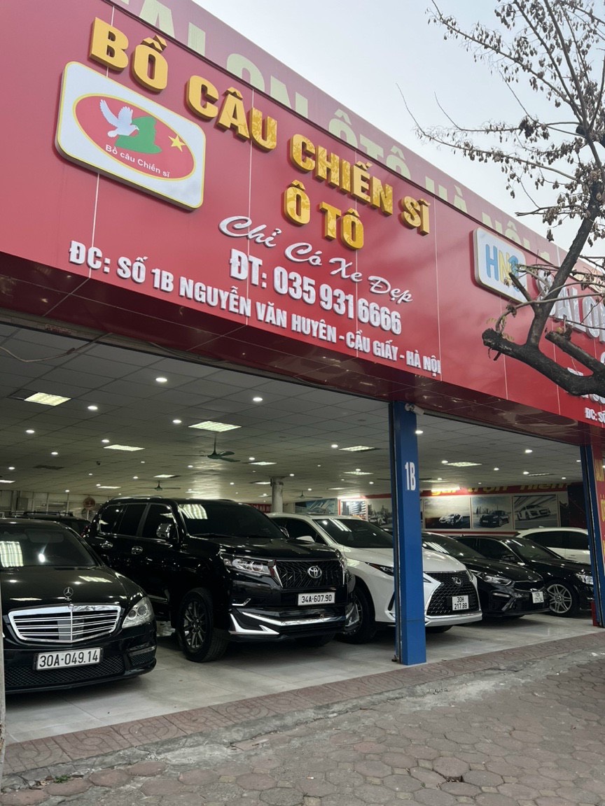 Bồ Câu Chiến Sĩ Ô Tô